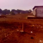 received_310332279457792