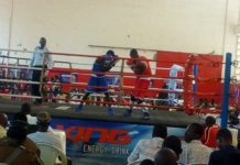 Conakry: démarrage du championnat d’Afrique de boxe de la zone II