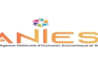 ANIES: sollicitation de manifestation d’intérêt pour le recrutement d’un expert environnement