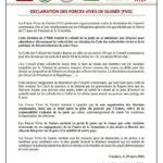 Declaration-FVG