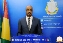 Guinée: deux importants projets de loi approuvés par le conseil des ministres !