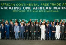 UA : la Guinée retenue pour abriter le Centre Africain pour le Développement Minier (CADM)
