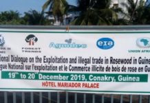 Guinée: concertation du dialogue national sur l’exploitation et le commerce illicite du bois rose