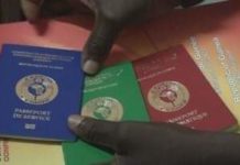 Puissance des passeports: la Guinée occupe la 23ème place en Afrique