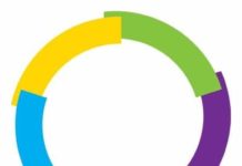 Guinée/Elections: l’OIF relève des insuffisances dans le fichier électoral et soutient qu’il sera difficile de continuer de soutenir le processus électoral