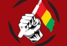 Guinée: le FNDC invite l’armée à être républicaine