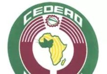 Guinée: la CEDEAO pas prête à déployer des observateurs pour une élection non inclusive
