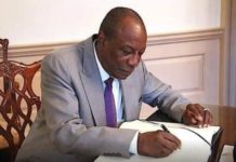 Guinée: la nouvelle Constitution promulguée par le Chef de l’État (Décret)