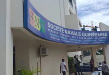 Guinée/Appel à manifestations d’intérêt : Recrutement d’un Consultant international pour l’Audit fonctionnel et organisationnel