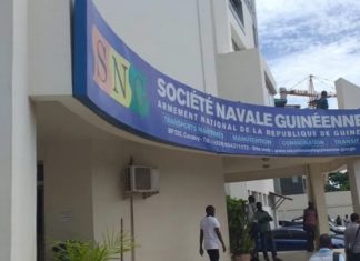 Guinée/Appel à manifestations d’intérêt : Recrutement d’un Consultant international pour l’Audit fonctionnel et organisationnel