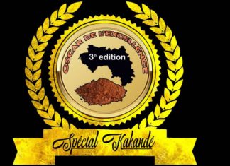 Guinée : Ce qu’il faut savoir de la 3ème édition des « OSCARS DE L’EXCELLENCE SPECIAL KAKANDE »
