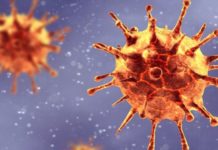 COVID-19 : le rapport sur les origines du virus n’est Pas concluant « nous ne devons rien négliger »