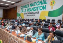 Transition en Guinée : le CNT adopte le chronogramme d’une durée de 36 mois