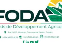 Le Fonds de développement Ministères de l’agriculture et des finances : Mamadi Doumbouya défini les attributions, l’organisation et le fonctionnement du (FODA) (décret)