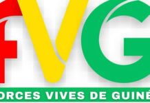 Les Forces Vives de Guinée déclinent l’itinéraire de ses marches pacifiques dans le Grand Conakry