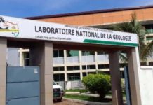 Madame Sayon Bérété DGA du laboratoire national de la géologie limogée pour faute lourde ( Décret)
