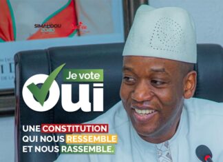 Campagne Référendaire : Mahamadou Abdoulaye Diallo désigné à la tête du Directoire de campagne de Lélouma